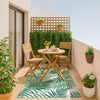 Helechos - “Indoor & Outdoor”