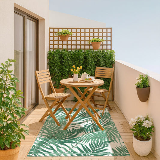 Helechos - “Indoor & Outdoor”