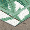 Helechos - “Indoor & Outdoor”