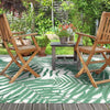 Helechos - “Indoor & Outdoor”