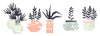 Sticker Set De 5 Plantas