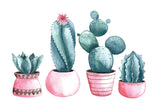 Sticker Set De 4 Cactus Rosa