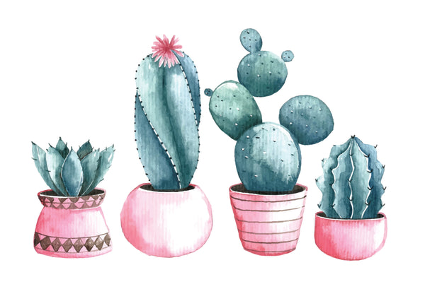 Sticker Set Of 4 Pink Cactus