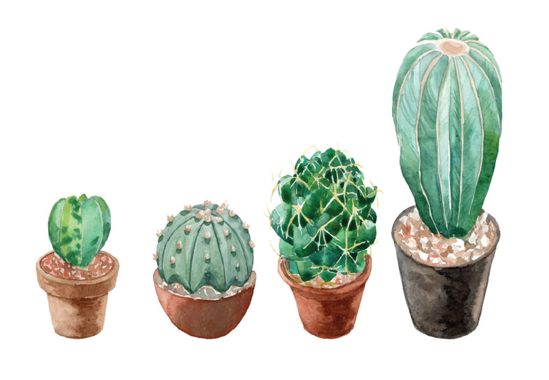 Sticker Set Of 4 Terracotta Cactus