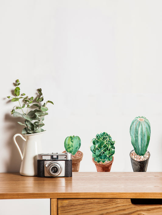 Sticker Set Of 4 Terracotta Cactus