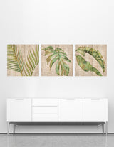 Exotic Triptych Mural, 3 Pieces 40X40