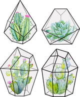 Fresque polygones et cactus