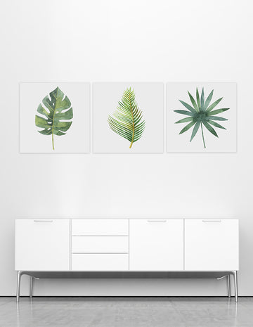 Botanical Triptych Mural, (3 Pieces Of 40X40)