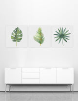 Botanical Triptych Mural, (3 Pieces Of 40X40)