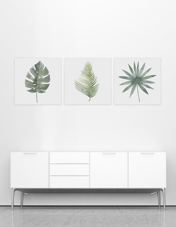Gray Botanical Triptych Mural, (3 Pieces Of 40X40)