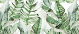 Exotic green leaves