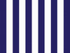 Rayas Navy Blue