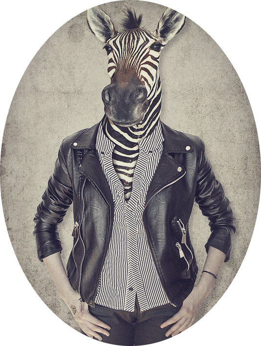 Sticker adhesivo Zebra