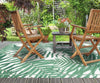 Helechos - “Indoor & Outdoor”