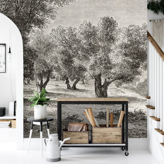 Olive trees - adhesive vinyl textile mural