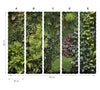 Jardin vertical- mural textil vinílico adhesivo