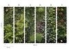 Jardin vertical- mural textil vinílico adhesivo