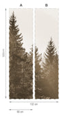 Bosque sepia- mural de papel pintado
