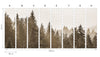Bosque sepia- mural de papel pintado